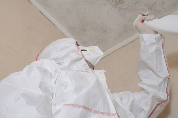 Best Biohazard Mold Removal  in USA